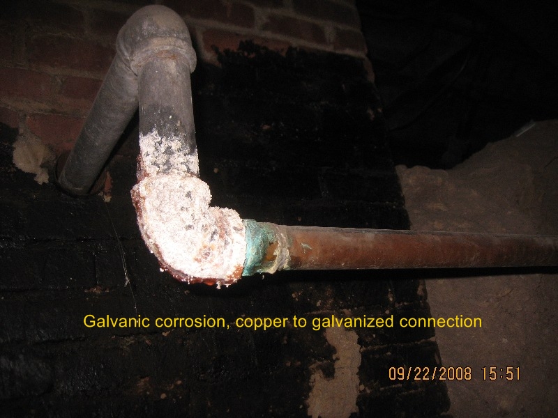 Freedom Home Inspection mold inspection photo 25